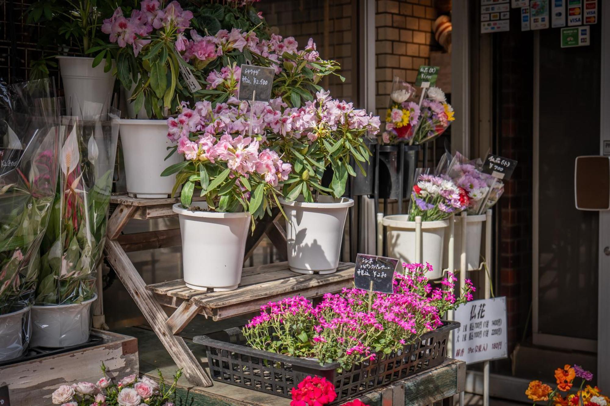 桜の川15 Detached House Ikebukuro 2 Mins Kanamecho Station 1 Min Eight People Tokyo Exterior photo